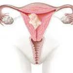 সতীত্ব বা কুমারীত্ব কি?