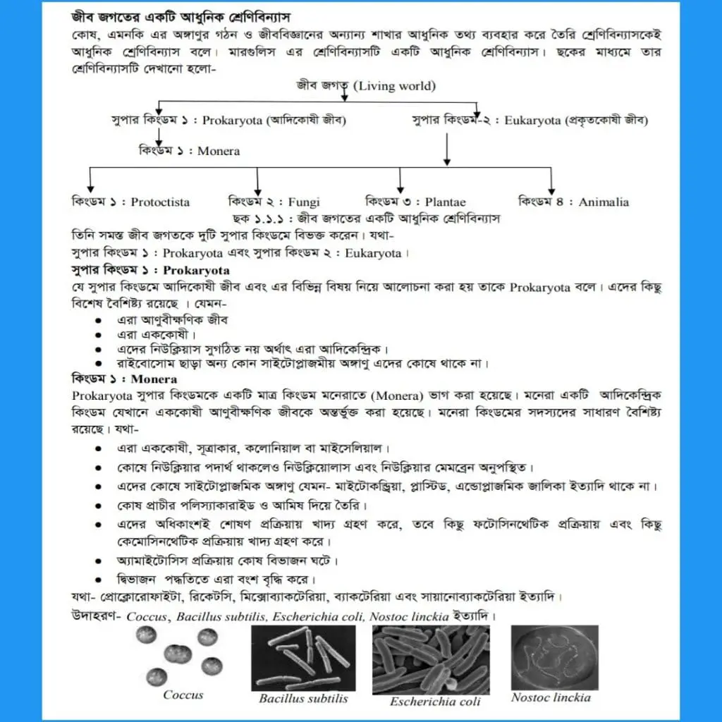 উদ্ভিদের শ্রেণিবিবিন্যাস।শ্রেণিবিন্যাস এর প্রকারভেদ। মারগুলিস এর শ্রেণিবিন্যাস