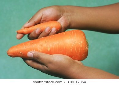 giant-carrot-little