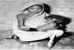 বাঁশ ফুল।বাঁশ ফল এর অসীম রহস্য। 6 মাওতাম দুর্ভিক্ষ