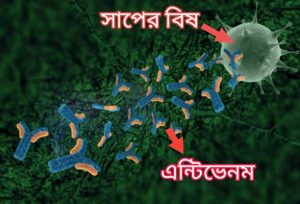 এন্টিভেনম কি? সাপের বিষের প্রতিষেধক| 4 বিষ ও এন্টিভেনম