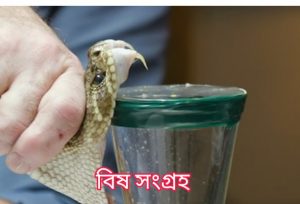 এন্টিভেনম কি? সাপের বিষের প্রতিষেধক| 5 বিষ সংগ্রহ