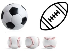 গরুর চামড়ার বল