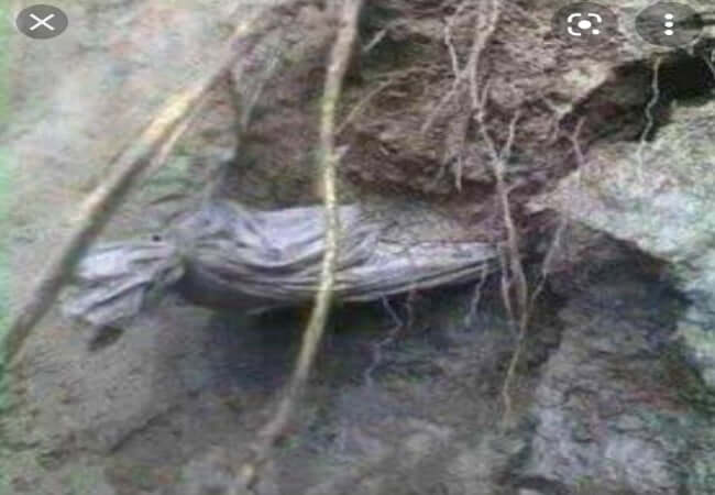 বজ্রপাতে আহত রোগীর প্রাথমিক চিকিৎসা বজ্রপাতে মৃত মানুষের লাশ চুরি হয় কেন?