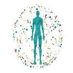 রোগপ্রতিরোধ ক্ষমতা কমে যায়