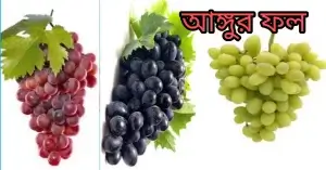 ক্যান্সার প্রতিরোধক ফল|কান্সারের ঝুঁকি কমায় এই ১৫ টি ফল# আঙ্গুর ফল