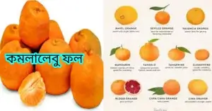 ক্যান্সার প্রতিরোধক ফল|কান্সারের ঝুঁকি কমায় এই ১৫ টি ফল# কমলালেবু ফল