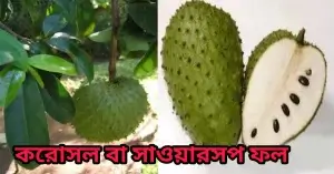 করোসল বা সাওয়ারসপ ফল