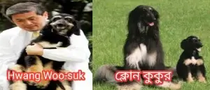 মানব ক্লোনিং কী? কিভাবে মানুষের ক্লোন করা হয়? ক্লোন কুকুর
