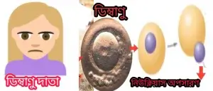 ডিম্বকোষের নিউক্লিয়াস অপসারণ