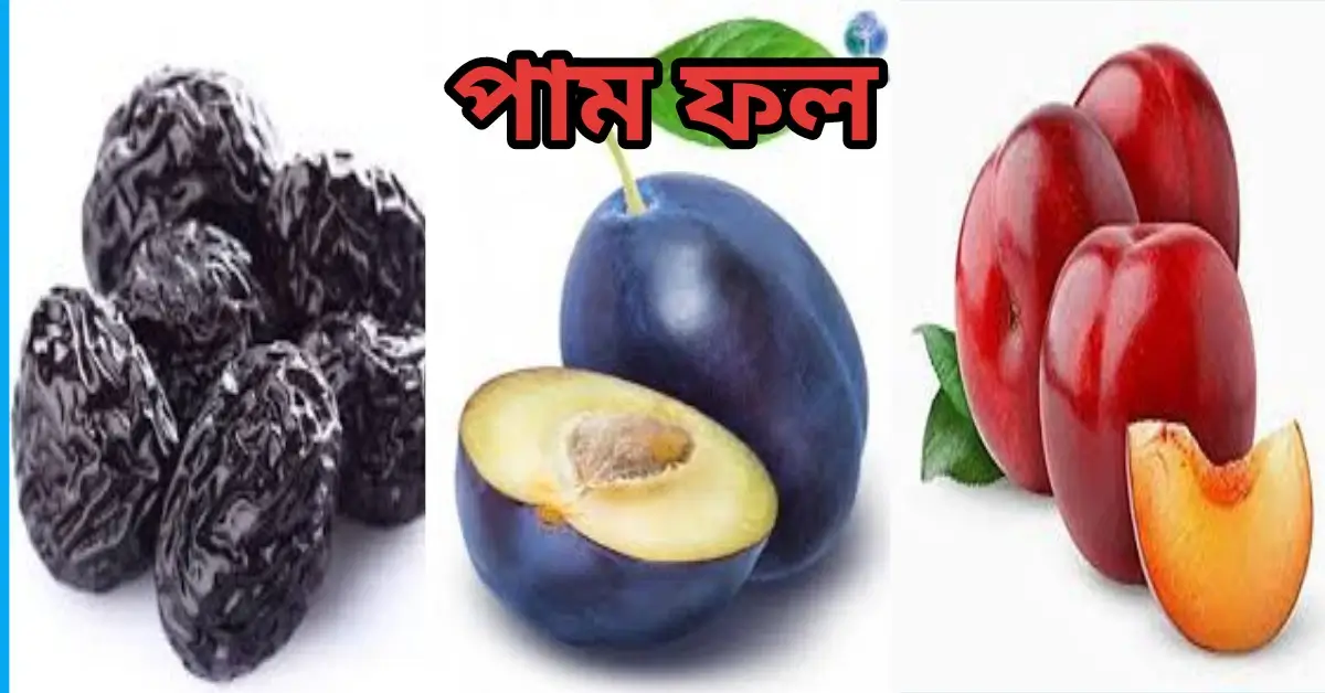 ক্যান্সার প্রতিরোধক ফল|কান্সারের ঝুঁকি কমায় এই ১৫ টি ফল# পাম ফল