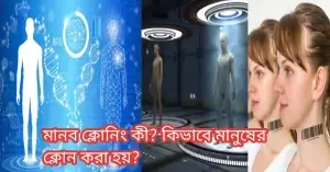 মানব ক্লোনিং কী? কিভাবে মানুষের ক্লোন করা হয়?