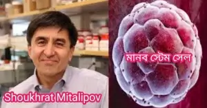 মানব ক্লোনিং কী? কিভাবে মানুষের ক্লোন করা হয়? মানব স্টেম সেল