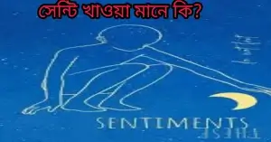 সেন্টি খাওয়া মানে কি? সেন্টিখোর অর্থ কী?