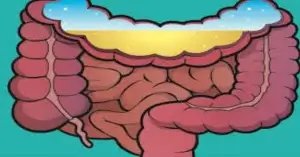 পাদ কিভাবে সৃষ্টি হয়?