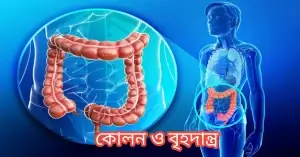 পাদের উপকারিতা কী?পাদ কী শরীরের জন্য ভালো? পাদ আটকে রাখলে কোলনের স্বাস্থ্য খারাপ হতে পারে