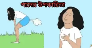 পাদের উপকারিতা কী?পাদ কী শরীরের জন্য ভালো? পাদের উপকারিতা কী?পাদ কী শরীরের জন্য ভালো?