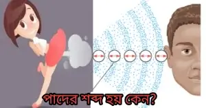 পাদের শব্দ হয় কেন?