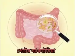 পাদ আটকে রাখলে ক্ষতিকর ব্যাকটেরিয়ার সংখ্যা বৃদ্ধি পায়