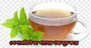 পাদ থেকে মুক্তির উপায় কী? পেপারমিন্ট চা পাদের গন্ধ দূর করে