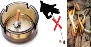 জ্বলন্ত সিগারেট সাবধানে ছুড়ে মারুন সিগারেট খাওয়ার নিয়ম