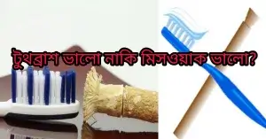 টুথব্রাশ ভালো নাকি মিসওয়াক ভালো