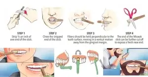 মেসওয়াক করার নিয়ম