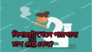 সিগারেট খেলে পায়খানা চাপ দেয় 