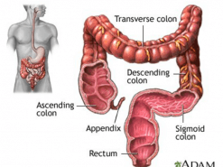 পায়খানার চাপ কিভাবে তৈরি হয়?
