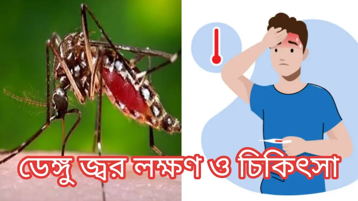 ডেঙ্গু জ্বর কী? ডেঙ্গু জ্বরের লক্ষণ ও প্রতিকার,প্রতিরোধ! ডেঙ্গু জ্বর কী? ডেঙ্গু জ্বরের লক্ষণ ও প্রতিকার,প্রতিরোধ!