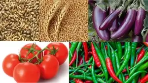 সোরিয়াসিস রোগীর নিষিদ্ধ খাবার