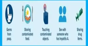 হেপাটাইটিস-এ-কিভাবে ছড়ায়