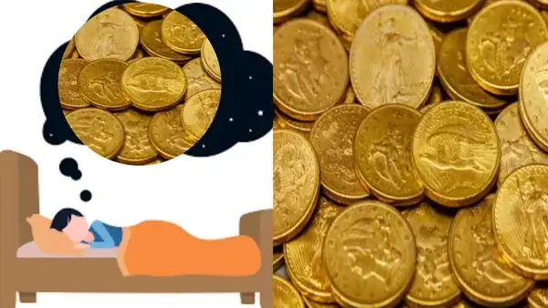 স্বপ্নে স্বর্ণমুদ্রা,রৌপ্যমুদ্রা,পয়সা দেখার ব্যাখ্যা কী? স্বপ্নে স্বর্ণমুদ্রা,রৌপ্যমুদ্রা,পয়সা দেখার ব্যাখ্যা কী?